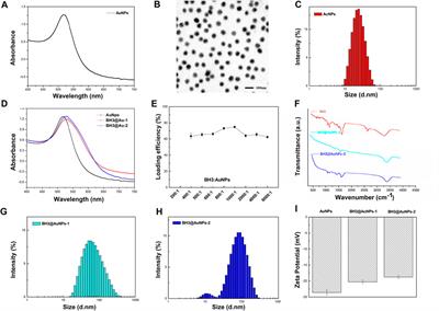 The antitumor activity of Bax BH3 peptide delivered by gold nanoparticles